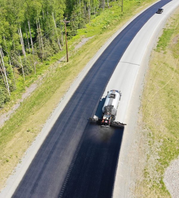 GSB Susitna road june 2019